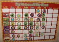 Lily\'s magnets