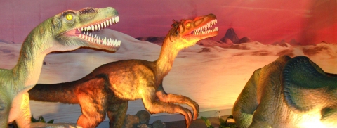Dino Exhibit